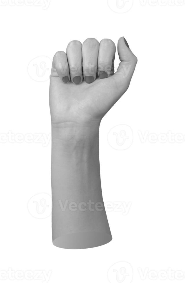 Isolated closeup of a clenched fist, symbolizing strength, power, and protest, on a white background photo