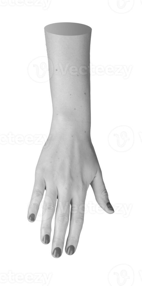 Isolated female hand with painted nails, right wrist in elegant monochrome pose. Grayscale, delicate photo