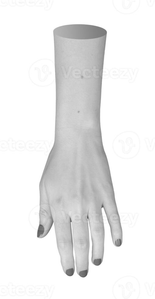 Isolated female hand, slightly bent with painted nails in elegant monochrome. Grayscale body part, photo