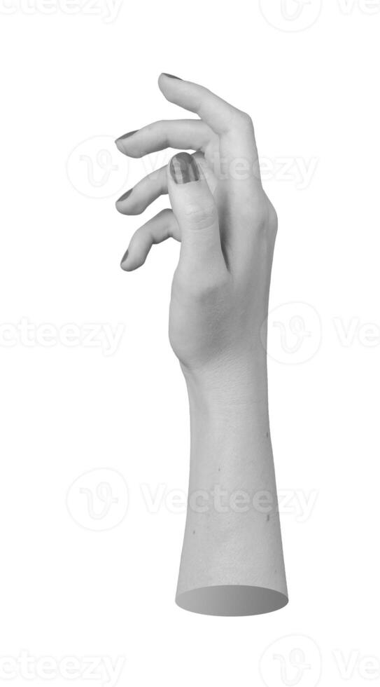 Hand in a relaxed, curled pose, isolated in monochrome. Dorsal view of arm and fingers, slightly photo