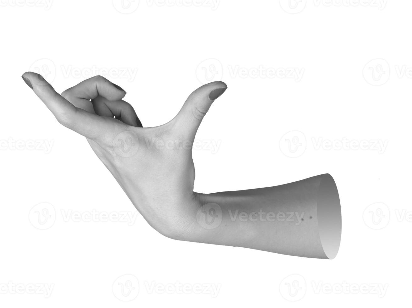 Female hand in a gripping gesture, thumb and forefinger positioned as if pressing or holding photo