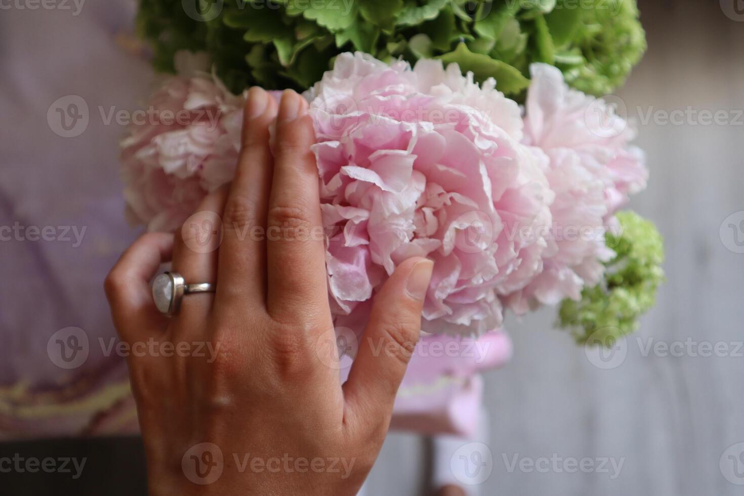 Female hand gently touching petals of pink peony. photo