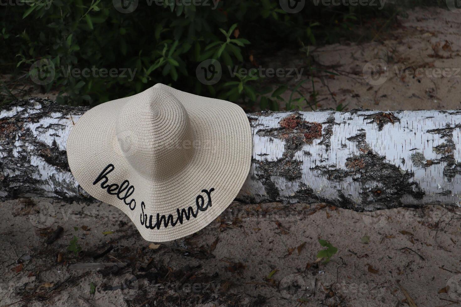 Staw female hat on the tree outdoor. Summer vibe. photo