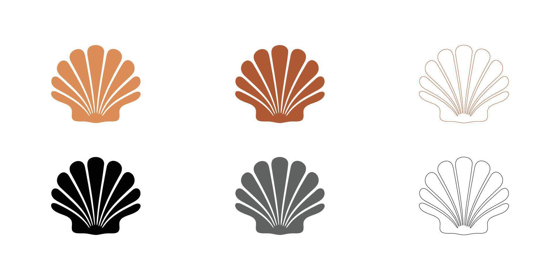 Detailed Sea Shell Illustration with outline vector