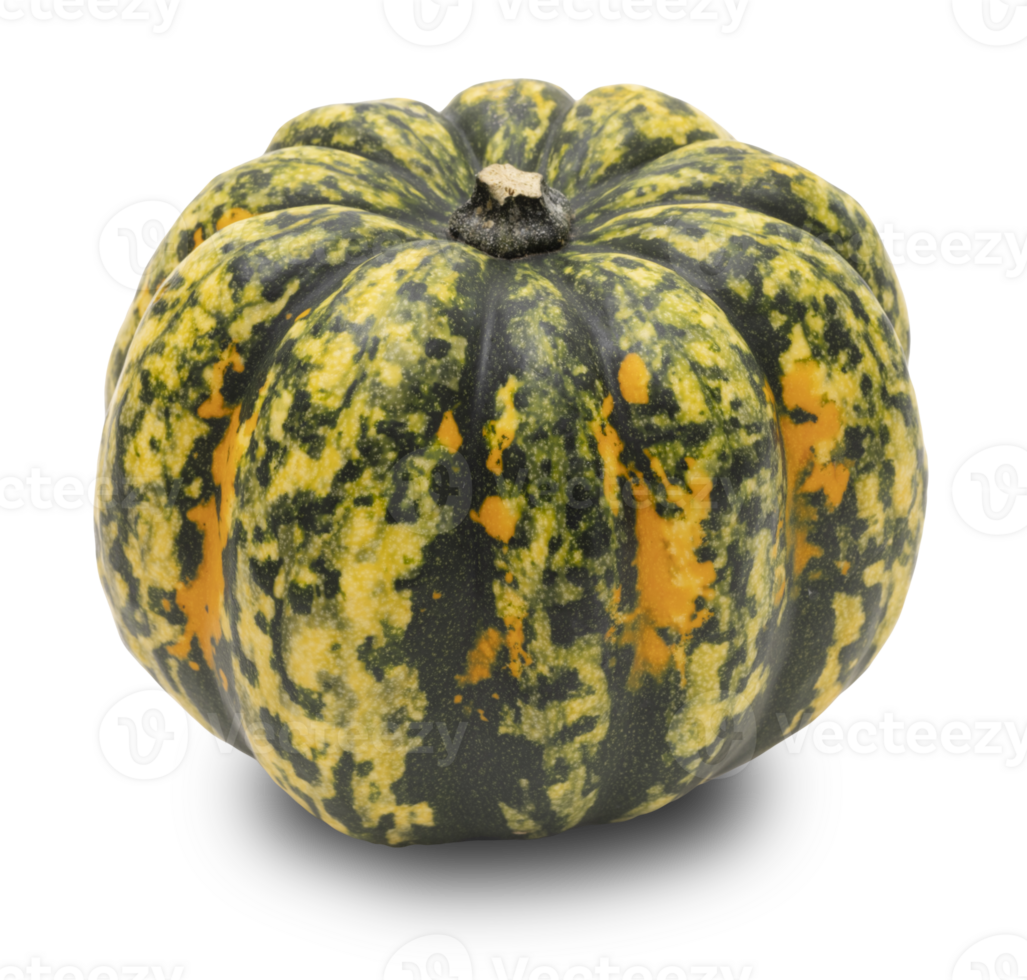 Vibrant green and yellow pumpkin with unique speckled pattern, on transparent background. Front view. Perfect for autumn, Halloween, harvest themes, and culinary visuals. png