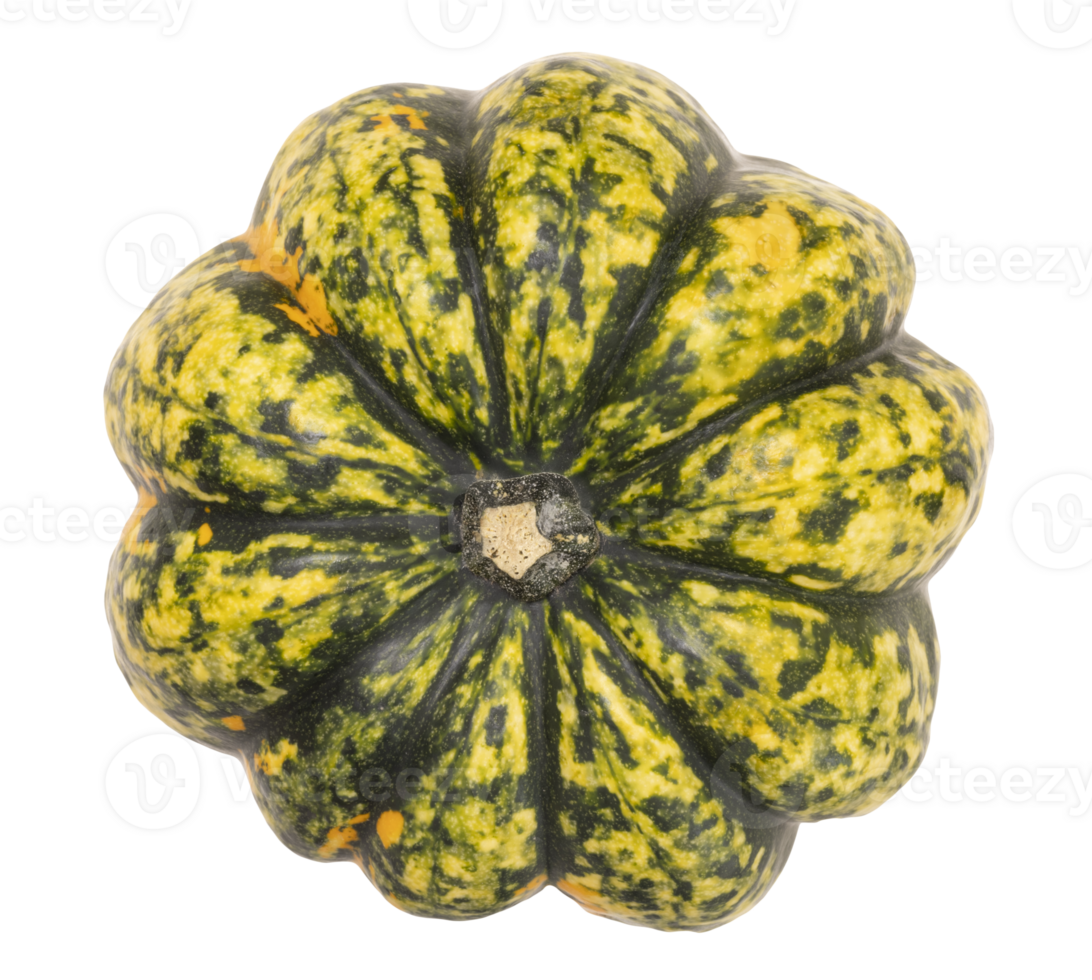Vibrant green and yellow pumpkin with unique speckled pattern, on transparent background. Top view. Perfect for autumn, Halloween, harvest themes, and culinary visuals. High angle view, flat lay. png