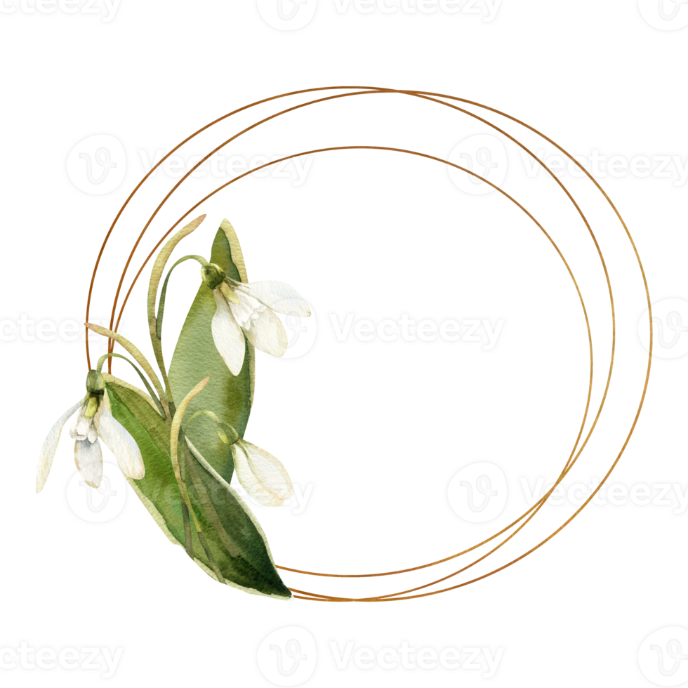 Snowdrop wreath with leaves and golden elements. Hand drawn round frame with spring first white flowers for wedding card, bridal party, poster, invitation design.For poster, interior decor png
