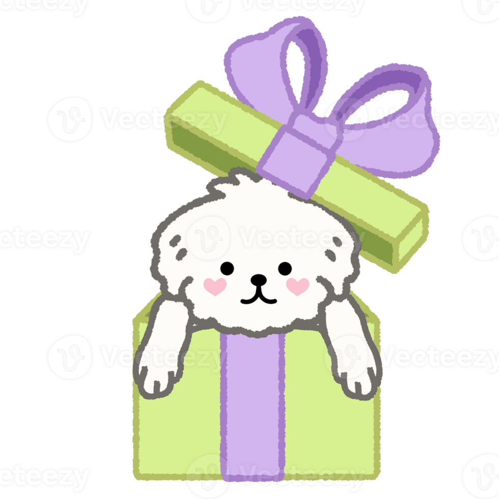 Cute white puppy in a gift box with green and purple color illustration png