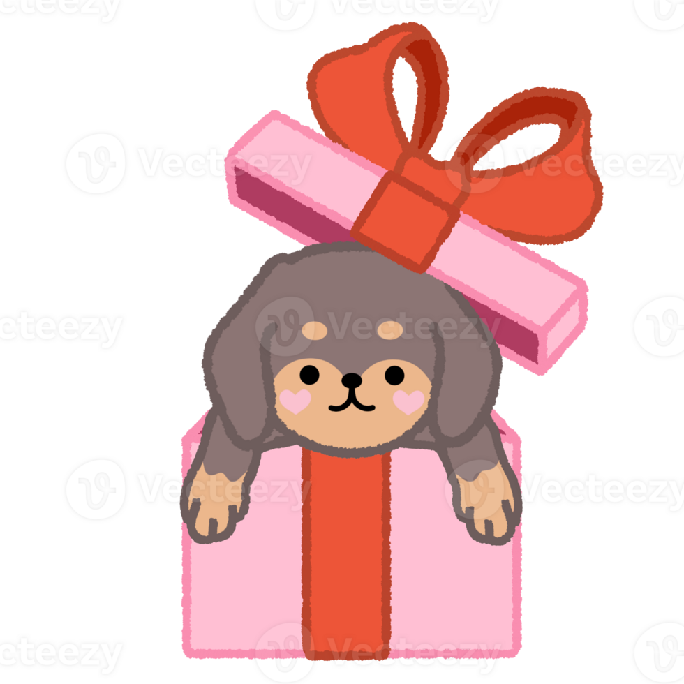 Cute brown puppy in a gift box with Pink and red color illustration png