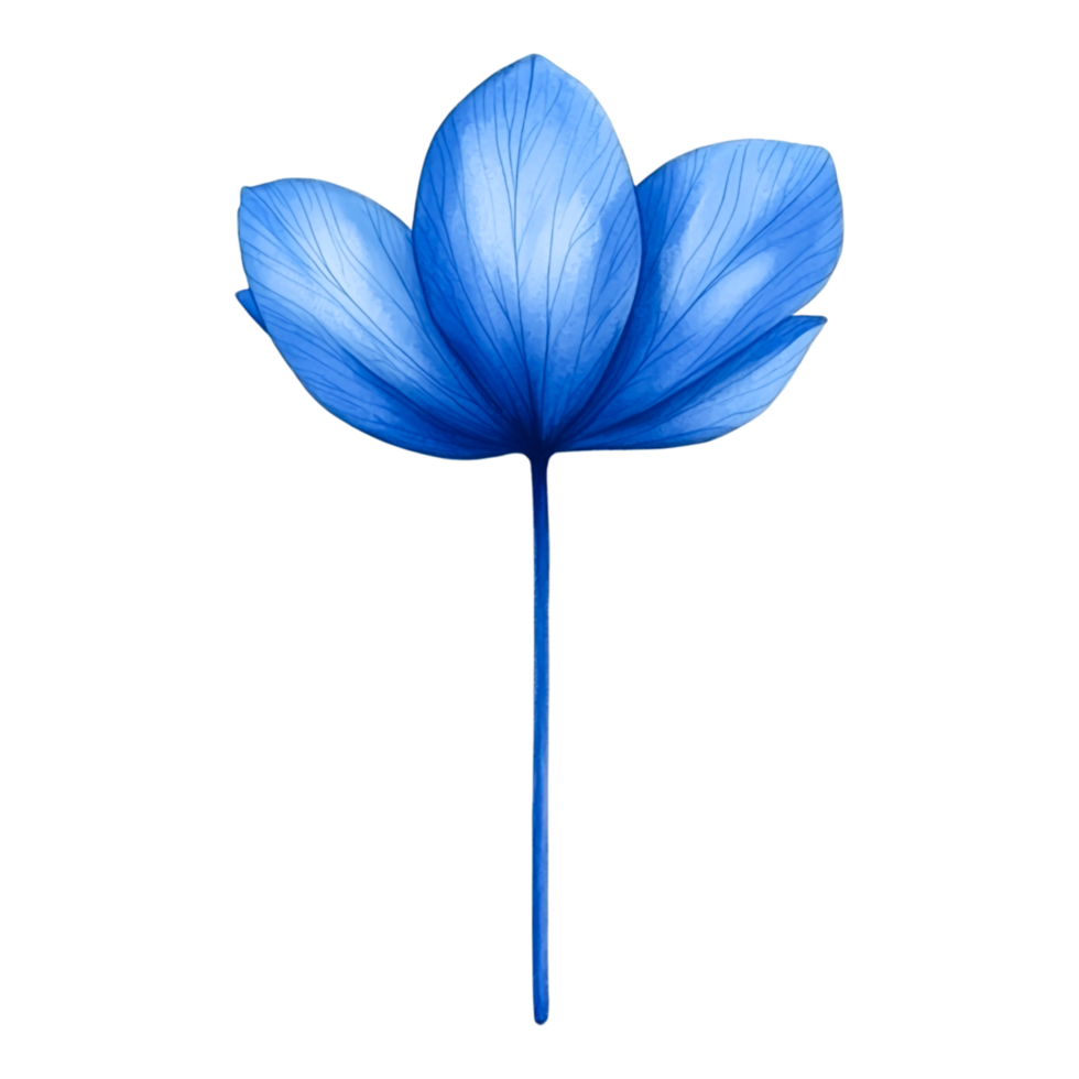 Beautiful Blue Flower with Delicate Petals Set Against Ideal for Nature Themes and Design Projects png