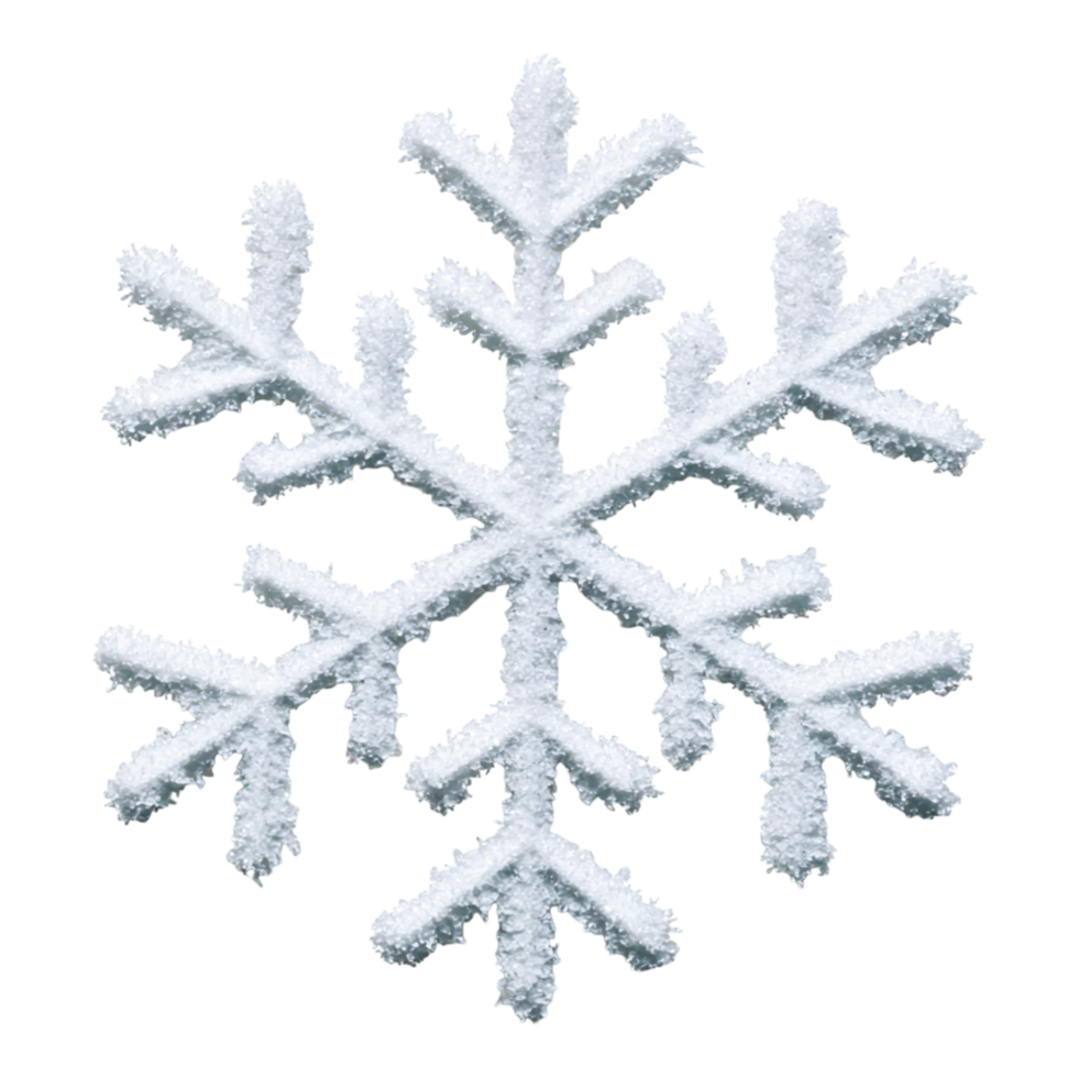 Snowflake with intricate patterns and delicate design png