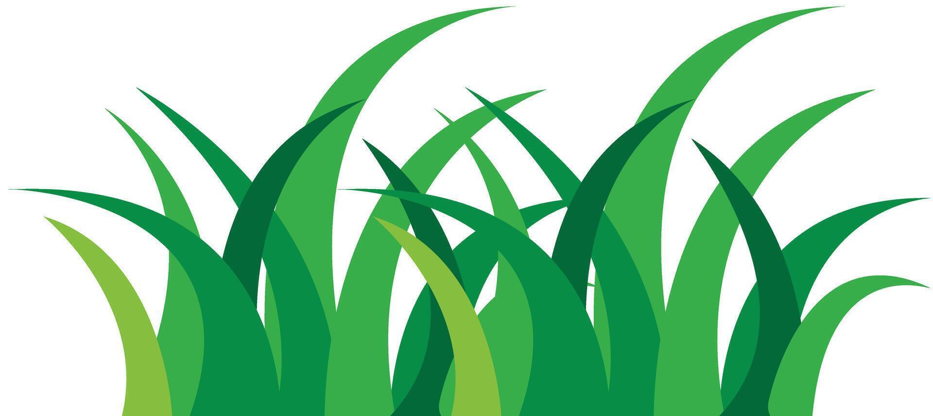 Green Grass Growing Element. Green Grass Isolated on White Background vector