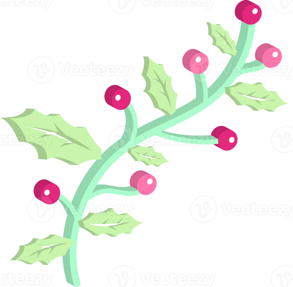 A branch with berries and leaves on it png