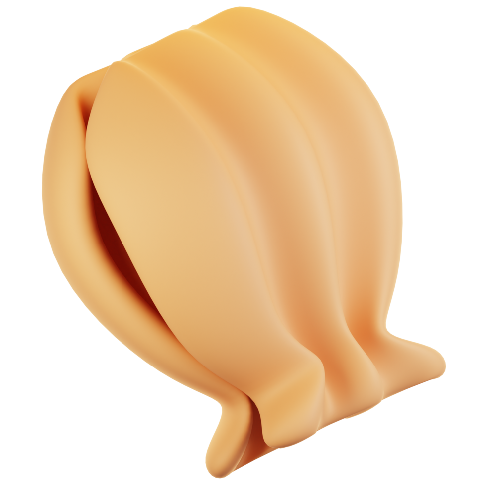 3d rendering beach icon concept. 3d render seashell png