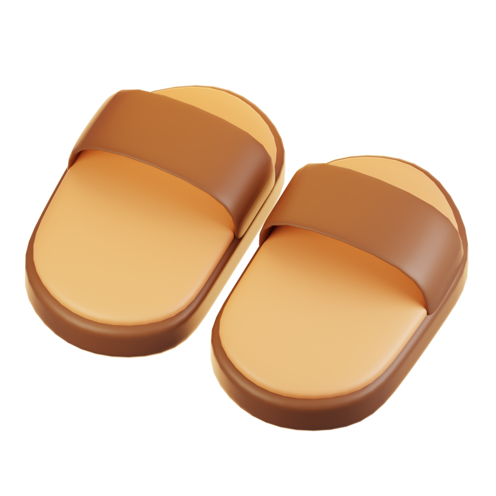3d rendering beach icon concept. 3d render slipper png