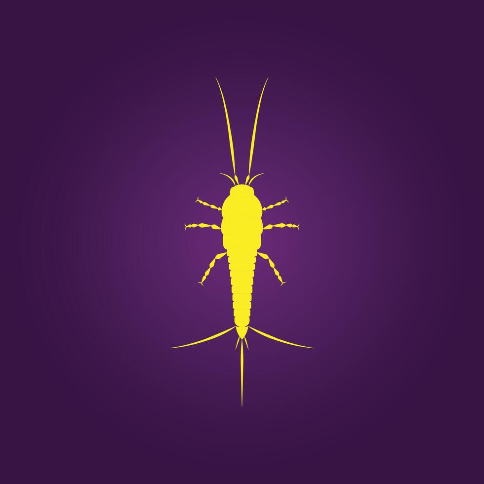 Thysanura Insect trendy artwork elegant abstract illustration colorful practical design vector