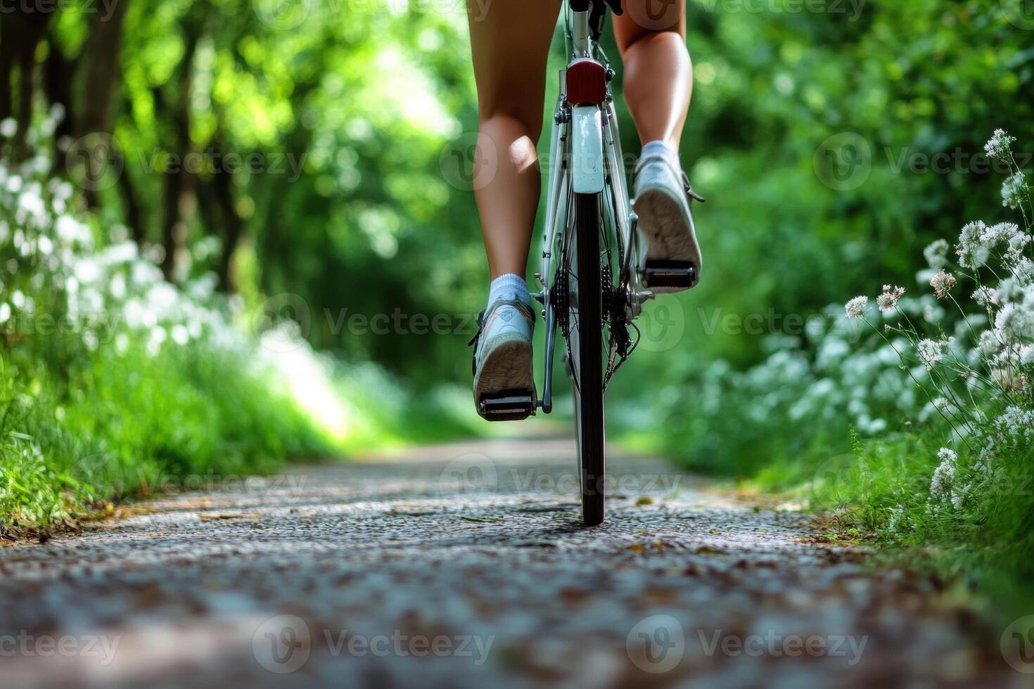 Woman riding bicycle in a green park during summertime photo