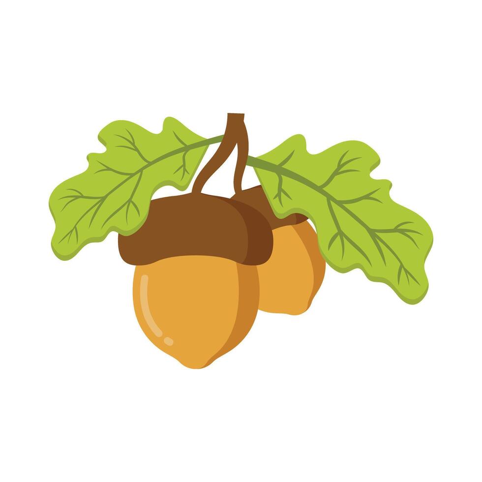 Acorn icon in flat style. Oak nut illustration on isolated background. Nature sign business concept. vector