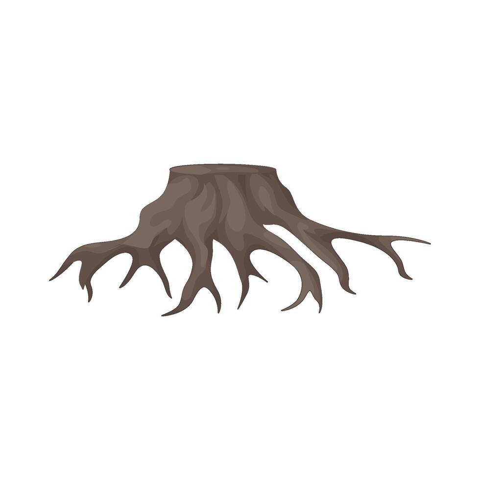 Illustration of root vector