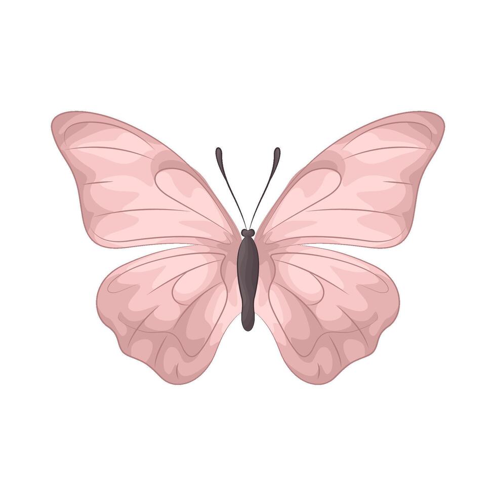 Illustration of butterfly vector