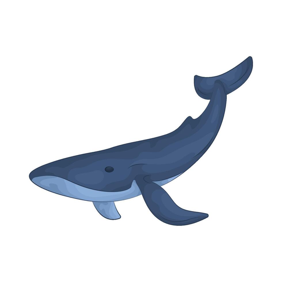 Illustration of whale vector