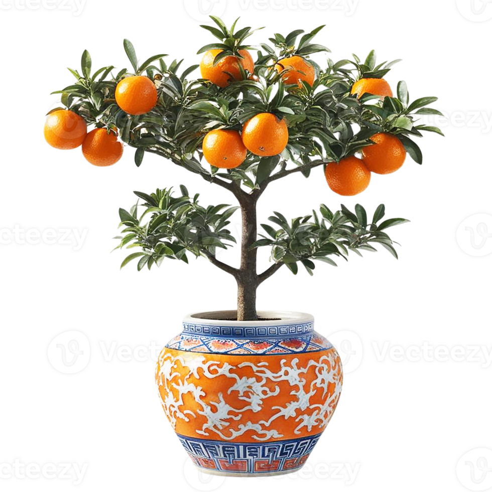 Vibrant orange tree in decorative pot, symbolizing prosperity. png