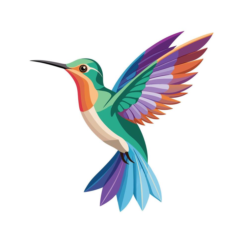 humming bird illustration on a white background vector