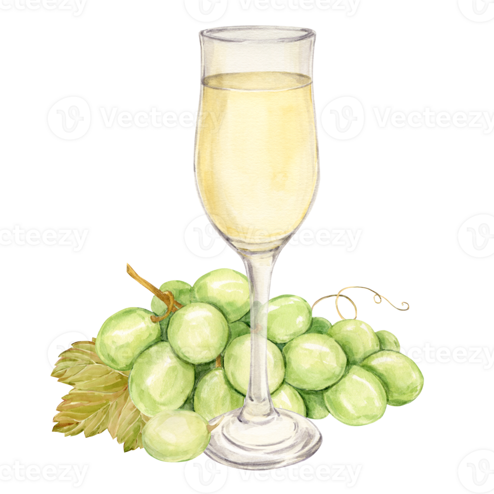 Watercolor branch with white grapes lies on the table and a glass with white wine. Illustration of green berries and leaves isolated on the background. Sparkling wine. Festive cocktail. png