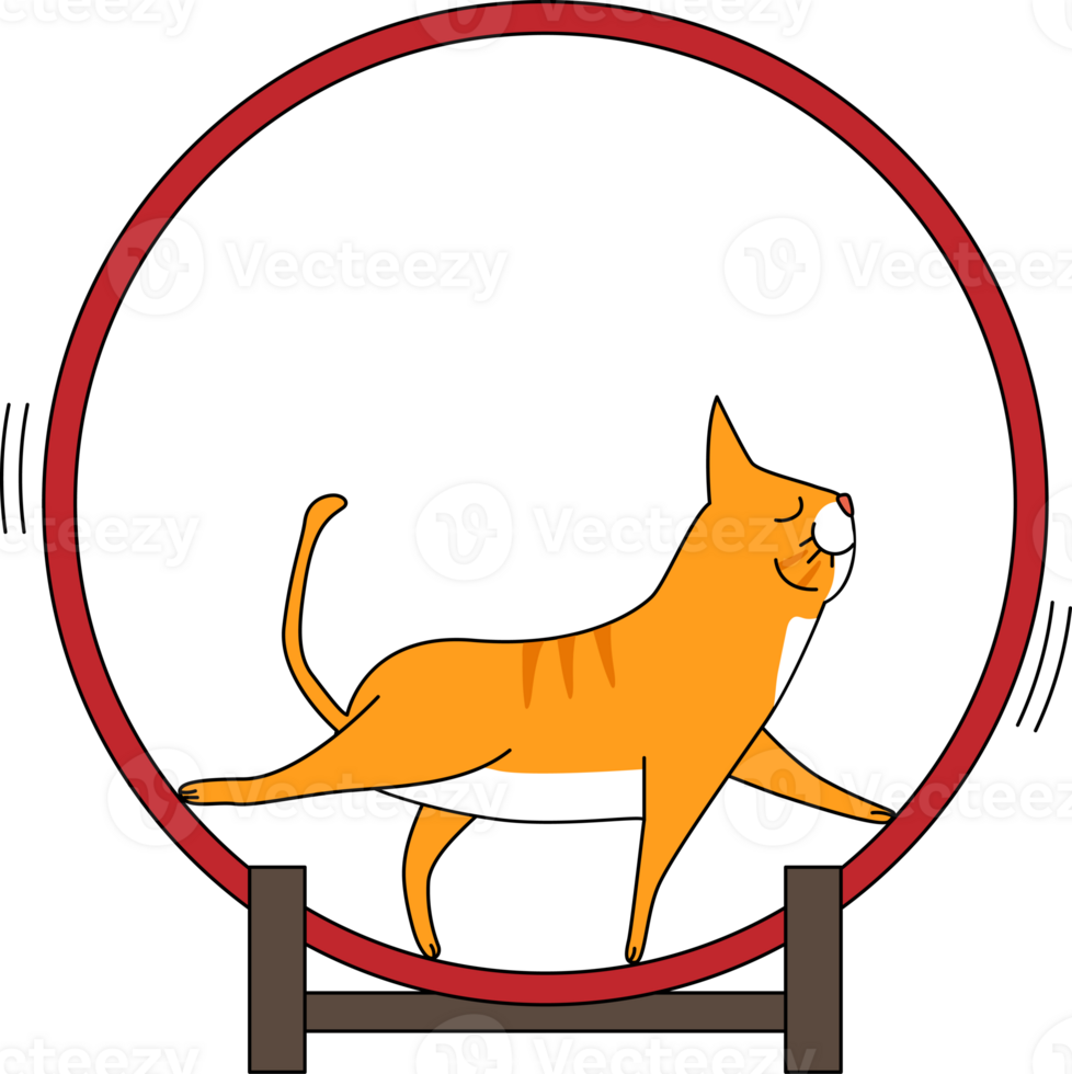 a cat is walking in a circle png