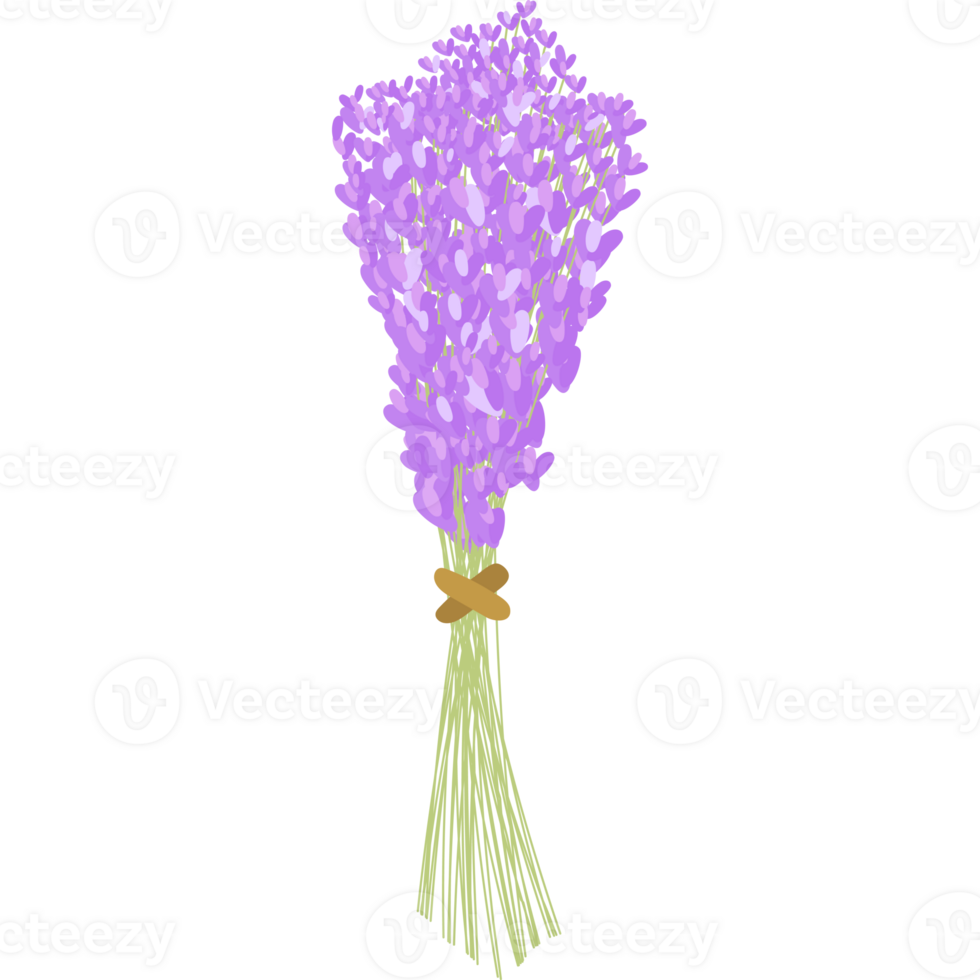 lavender flower bloom png