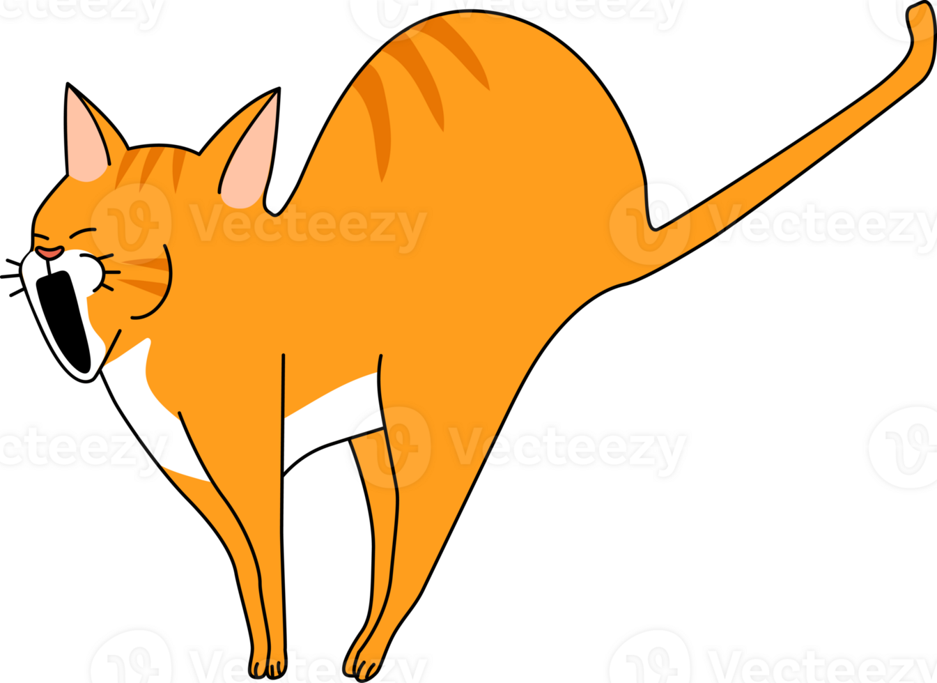 an orange cat with its mouth open png
