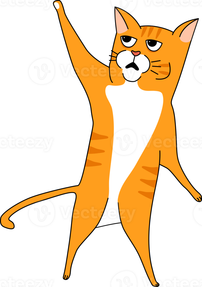 an orange cat with its arms up in the air png