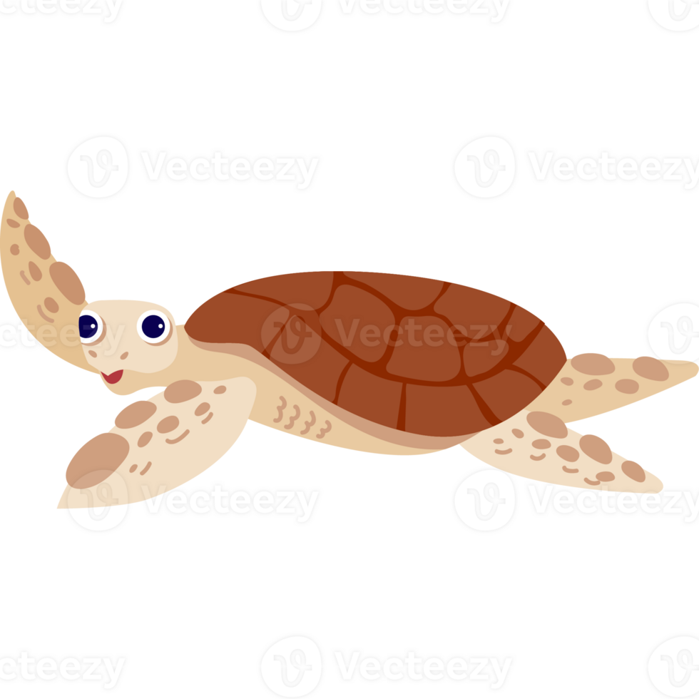 sea turtle animal png