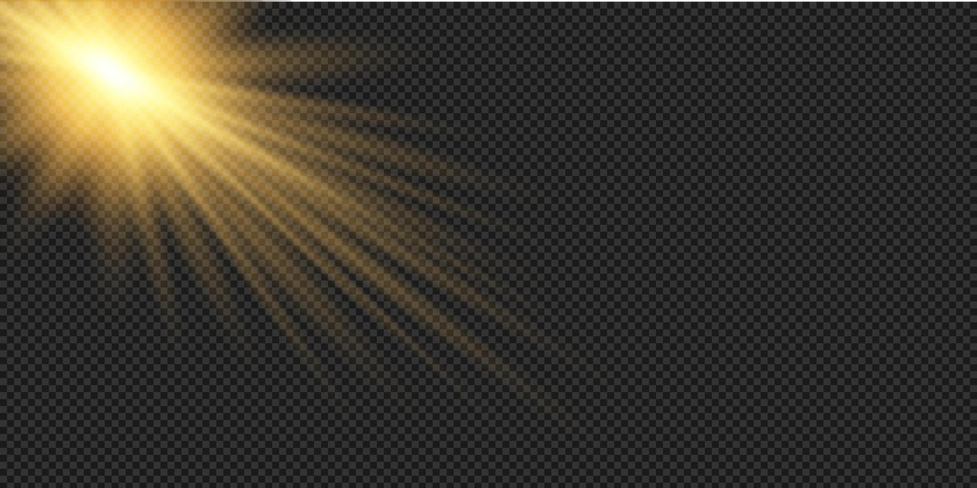 golden light rays on black background vector