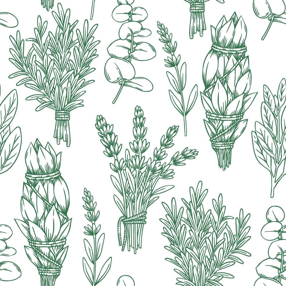 seamless pattern with herbs, rosemary, lavender, sage. image in sketch style. vector
