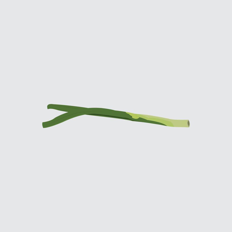 Illustration of green leeks for cooking ingredients. vector