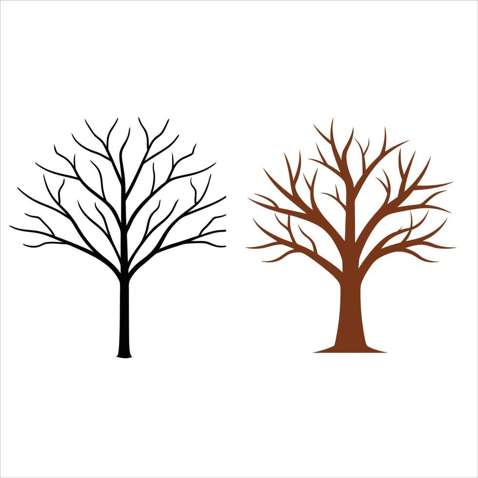 Two trees with no leaves on a white background vector