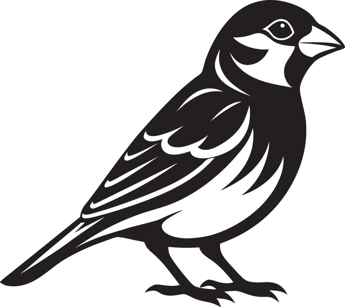 Classic Sparrow Bird Illustration in Monochrome vector