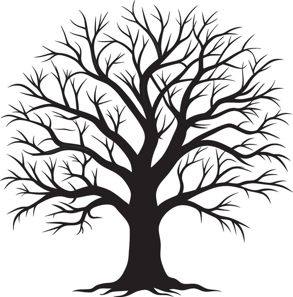 Leafless Tree Silhouette with Intricate Branch Details vector
