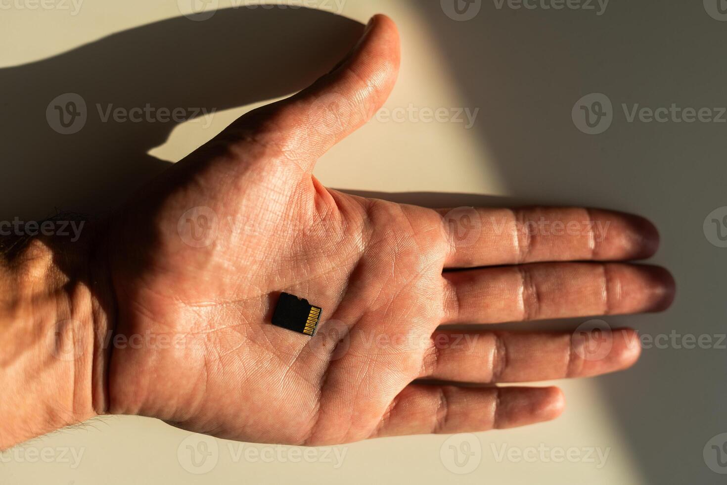 SD card Or memory card in hand concept of technology and in form of background. photo