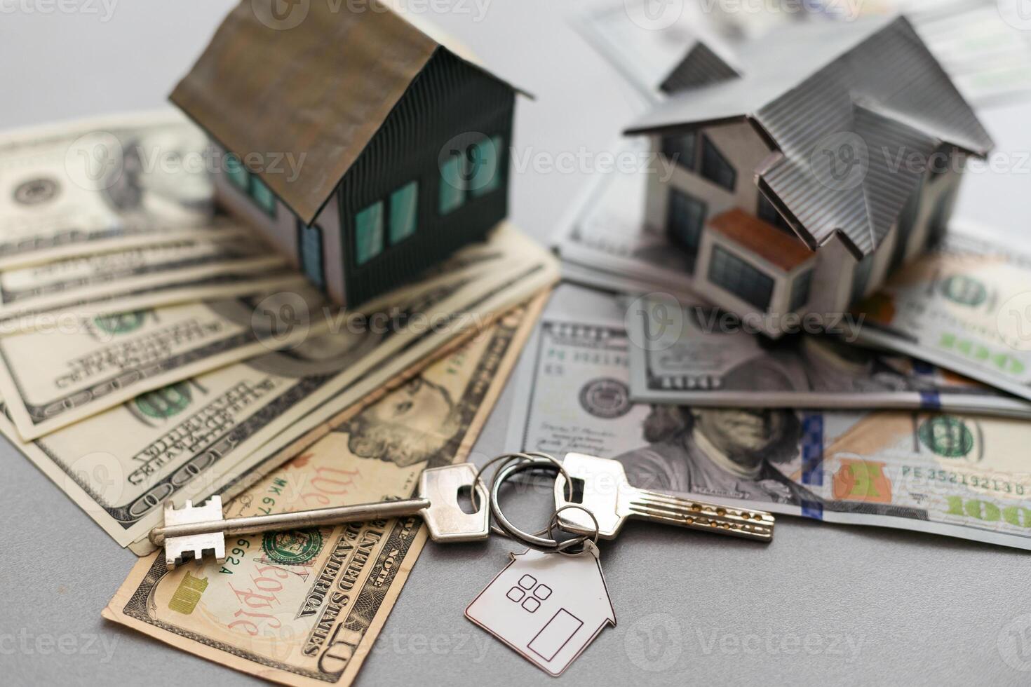 Investment. model house and money photo