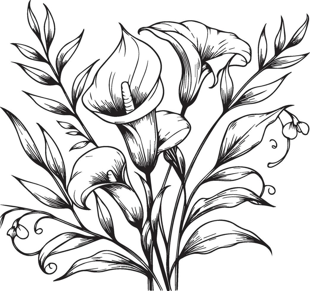 Unique flower coloring pages, Hand-drawn illustration of a garden variety of calla flowers and outline illustration, calla Flowers Wall Decor, calla flower art printable coloring pages vector