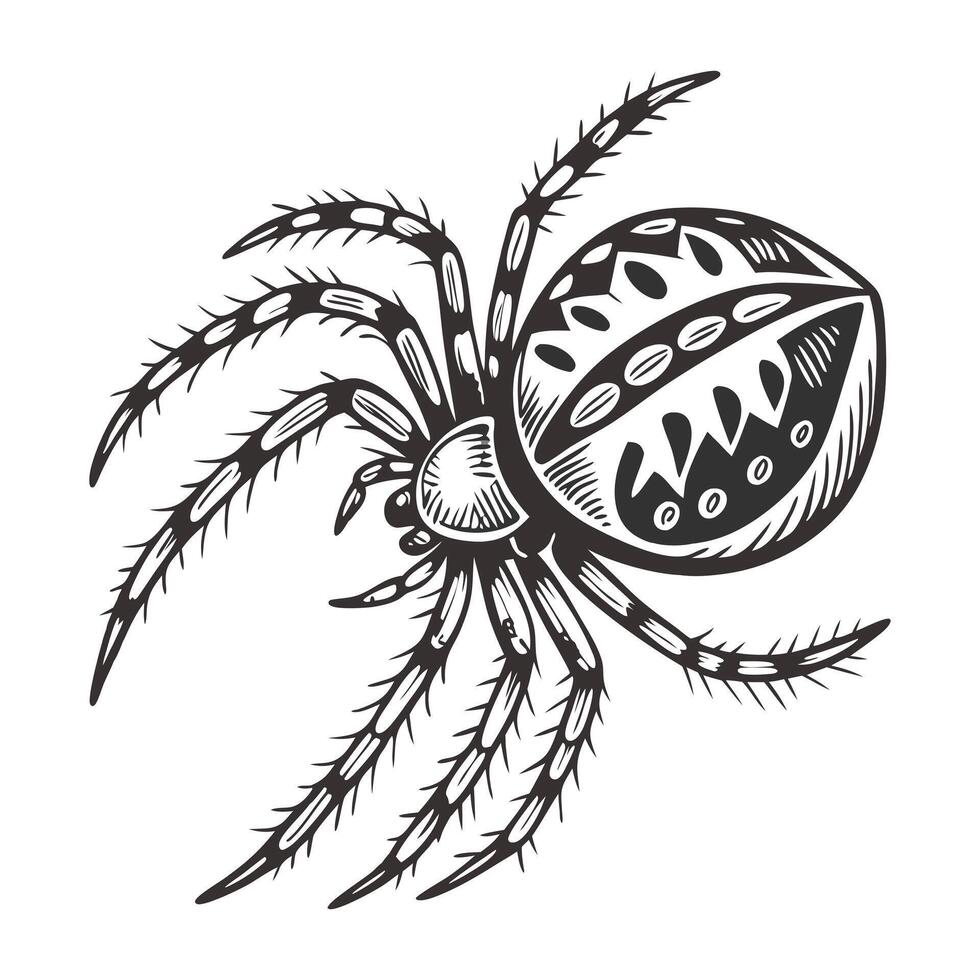 A spider is drawn in a black and white style vector