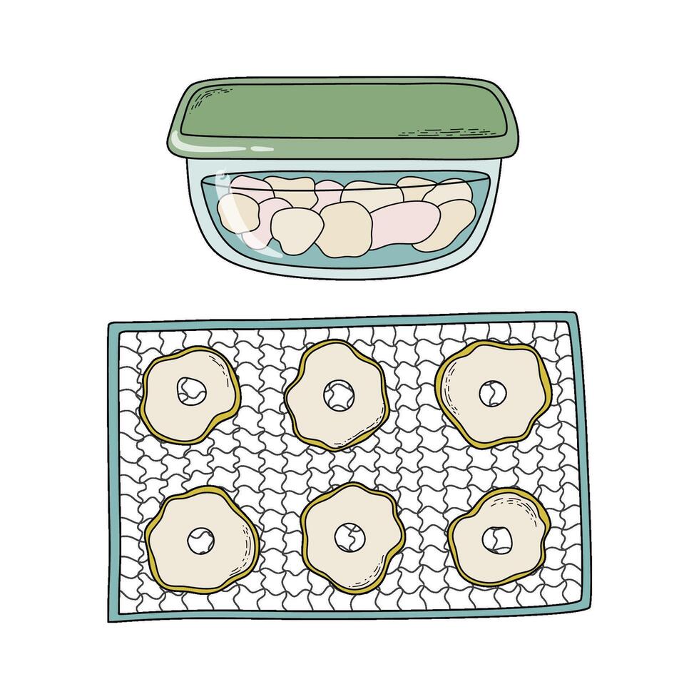 Sliced dry fruits or vegetables on metal grid rack and in plastic container. Dehydrated food preparation process, storage step. Home canning concept. Hand drawn doodle style illustration. vector