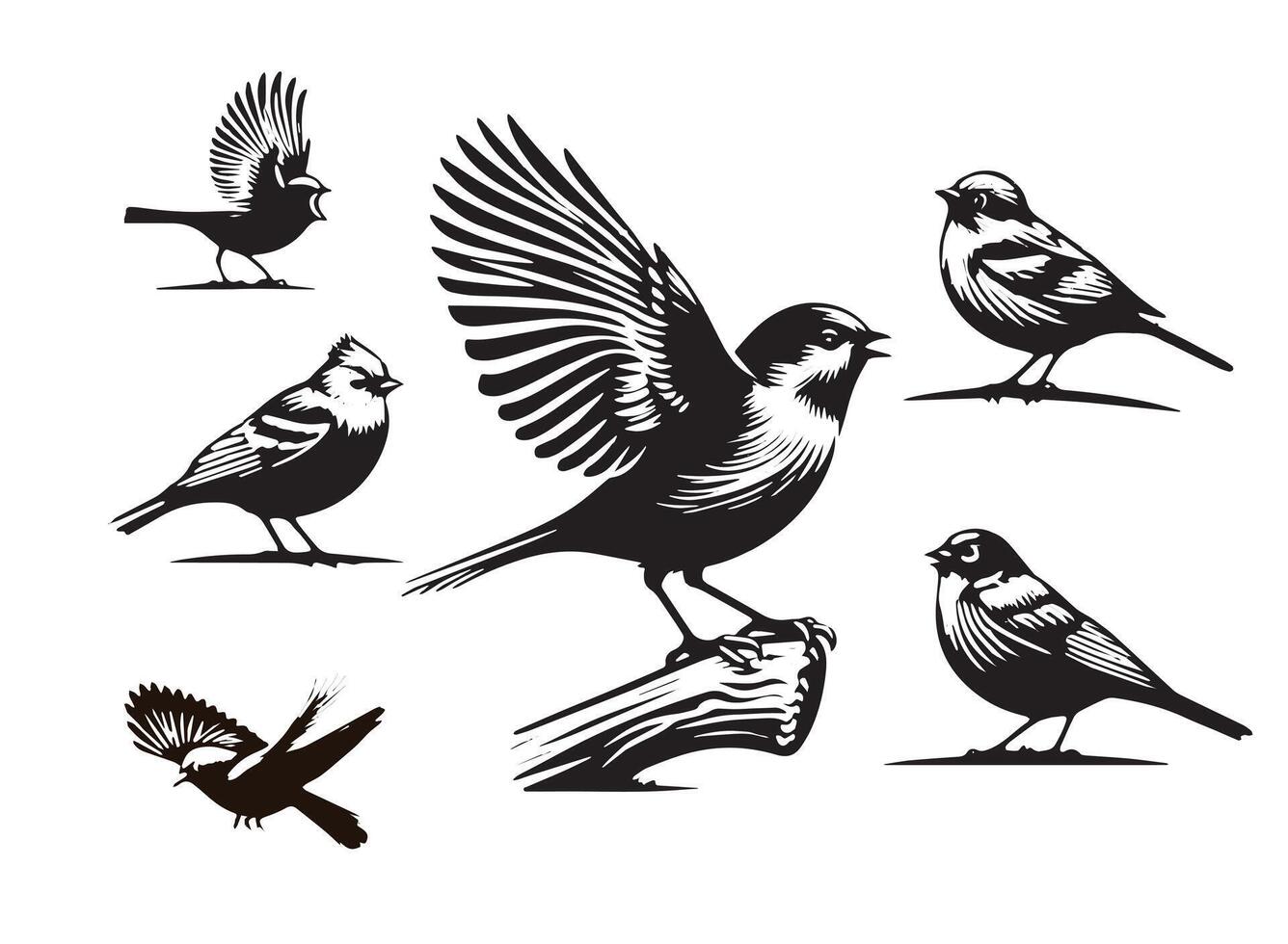 Minimalist Bird, Bird Silhouette vector