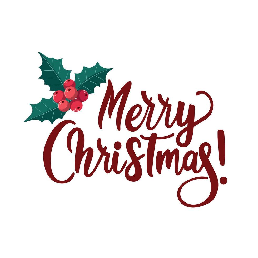 Handwritten Merry Christmas lettering with holly branch and berries. vector