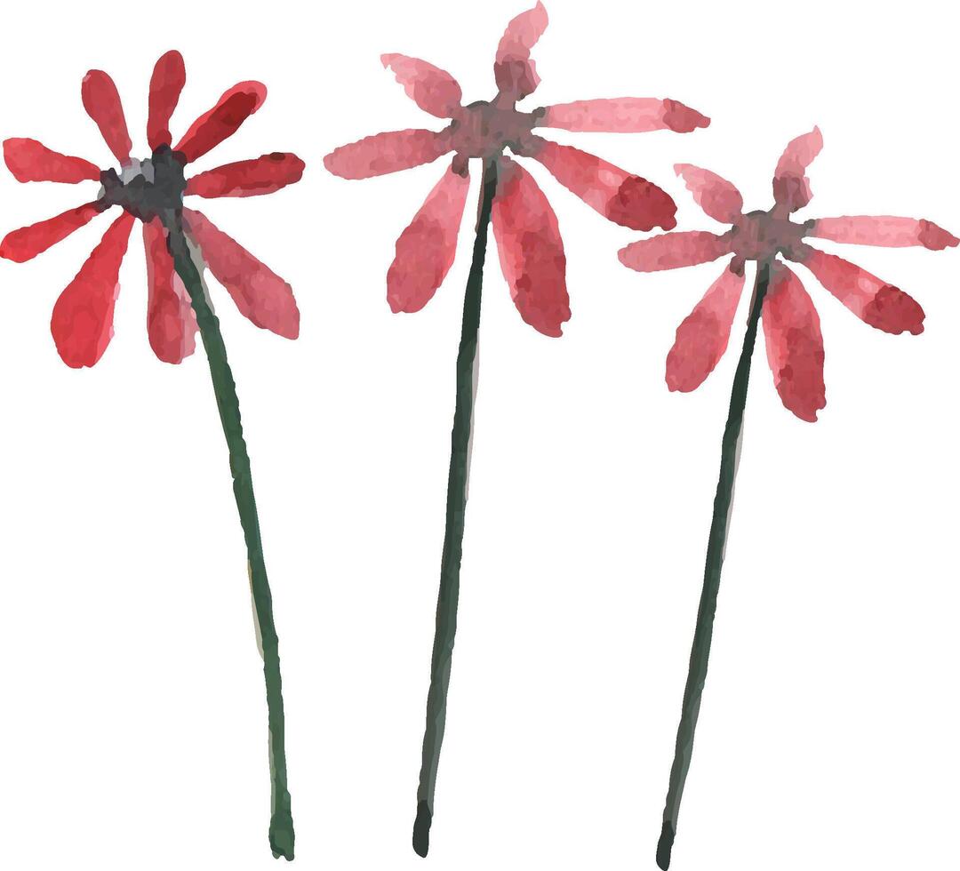 red flower water color painting for ornament vector