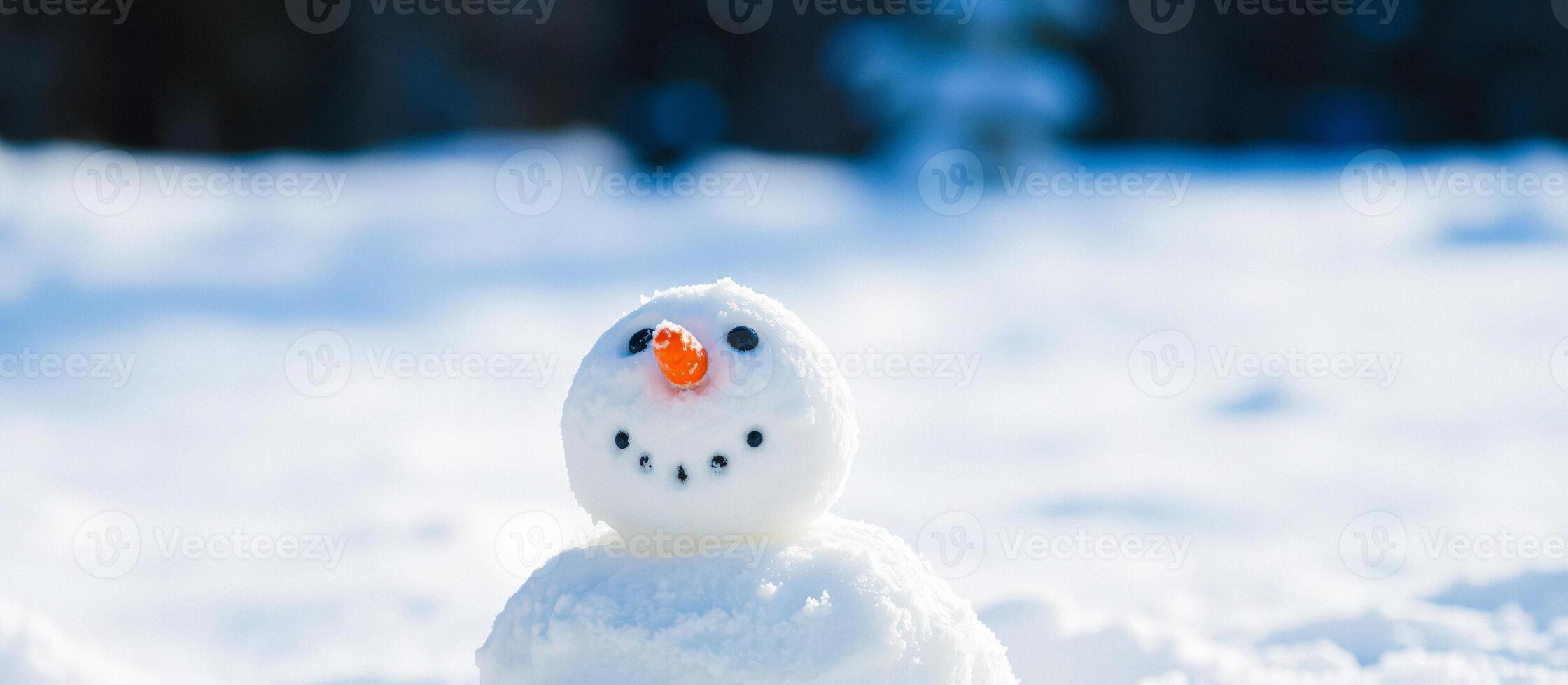 Close-up of a snowman's face in the snow photo