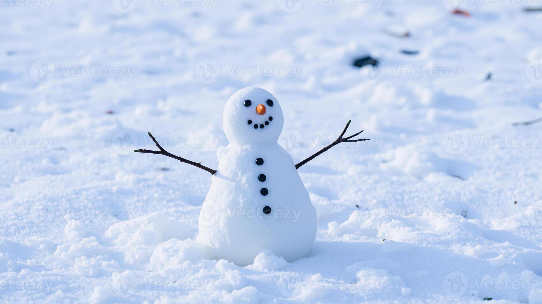 Happy Snowman In The Snow photo