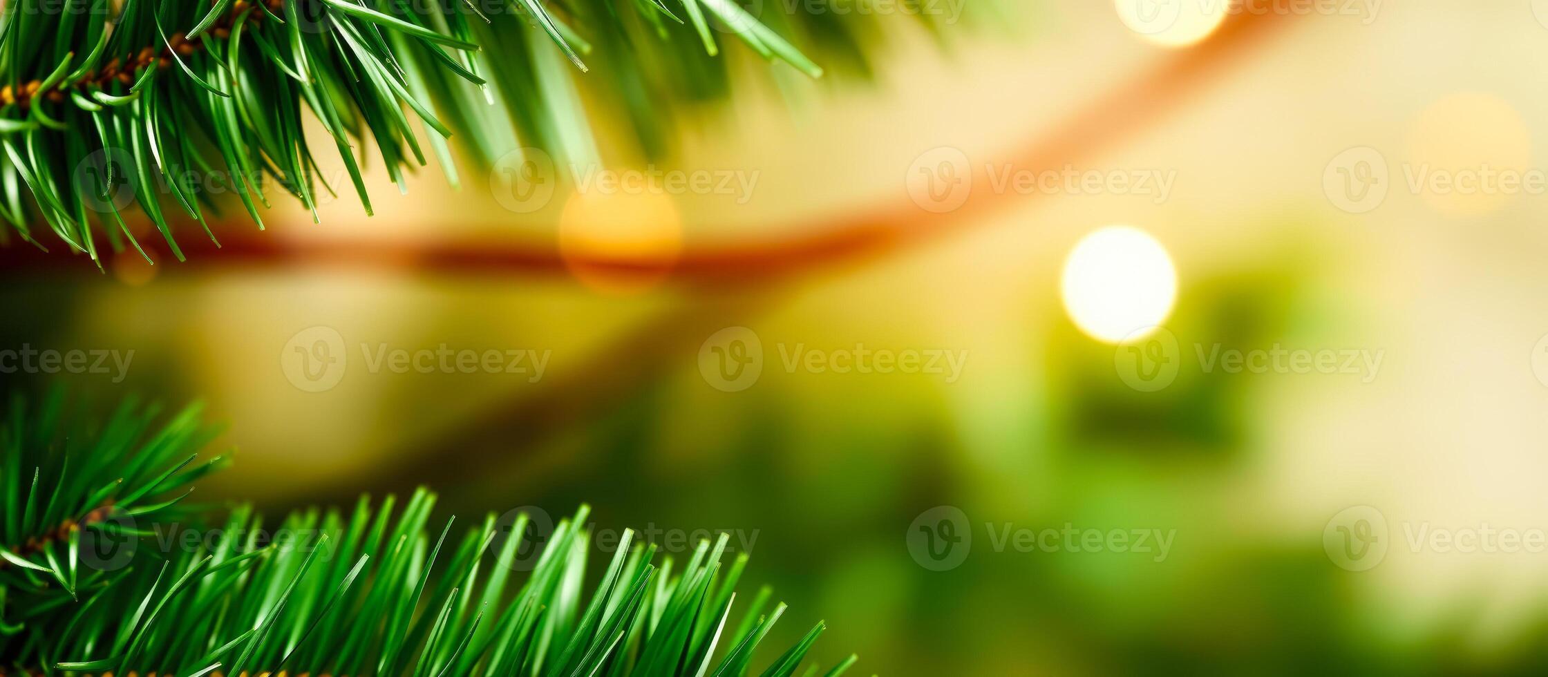 Close Up of Pine Needles with Bokeh Lights photo